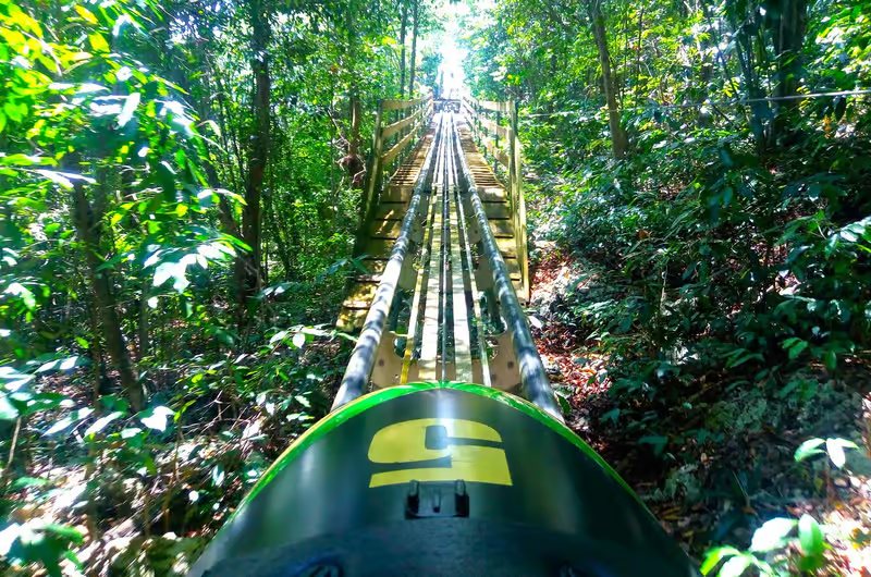 Looking up the bobsled track through the trees at Mystic Mountain
