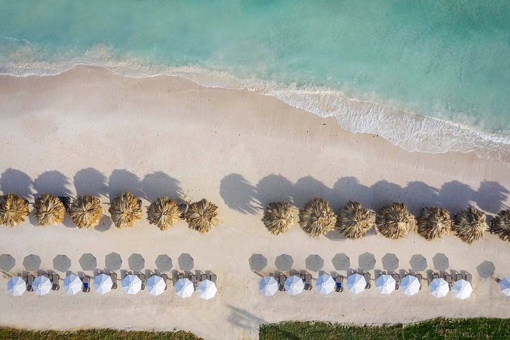 Umbrellas on the beach at a north coast resort, from above